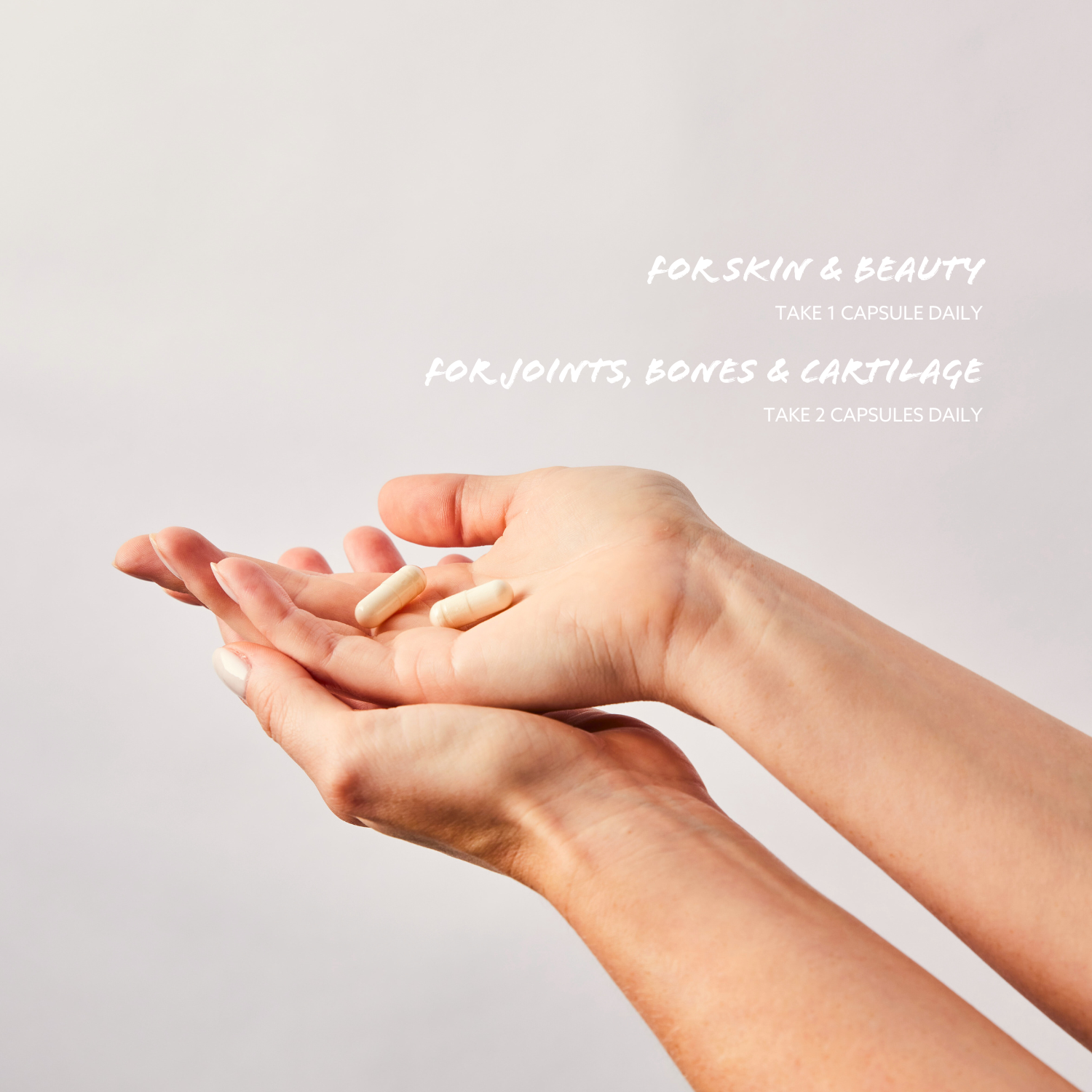 Type II Marine Collagen Matrix