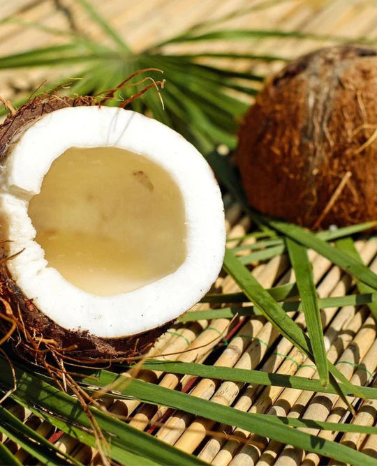 Coconut Mineral Cream SPF 15